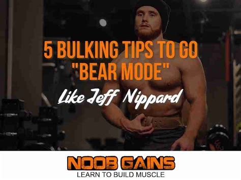 bearmode body type|noob gains bear mode.